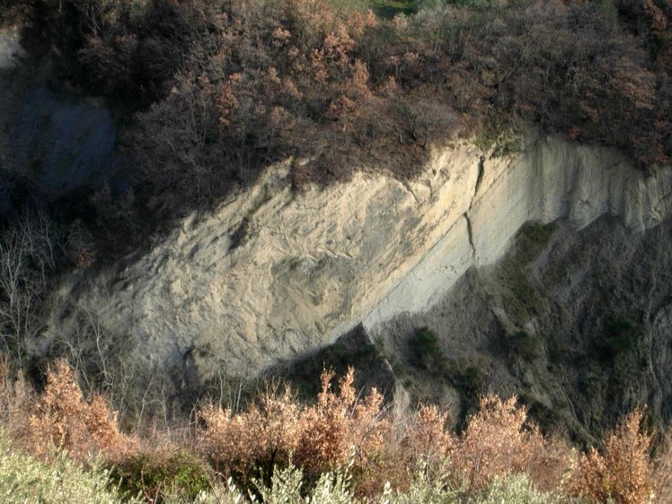 fossili carife